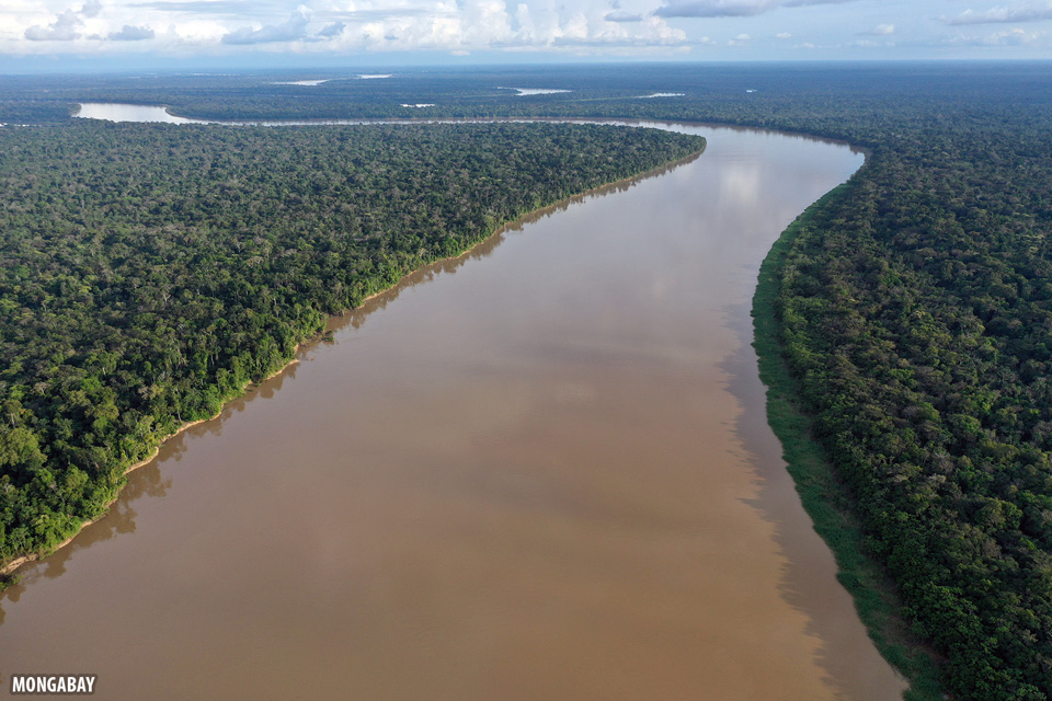 The Amazon